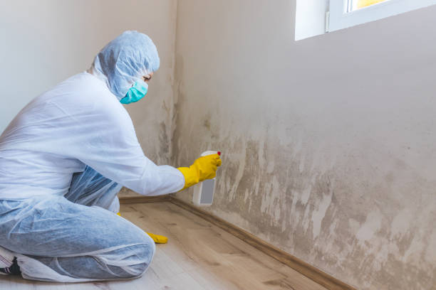 Licensed Crawl Space Mold Remediation service in Triangle, VA - Car Mold Remediation