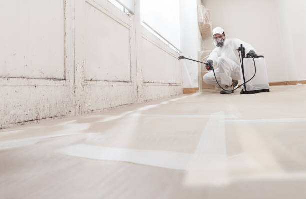 24/7 Emergency Crawl Space Mold Remediation experts in Triangle, VA