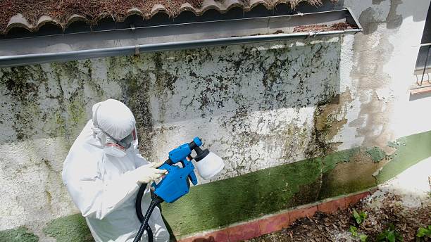 Top rated local Crawl Space Mold Remediation specialists in Triangle, VA